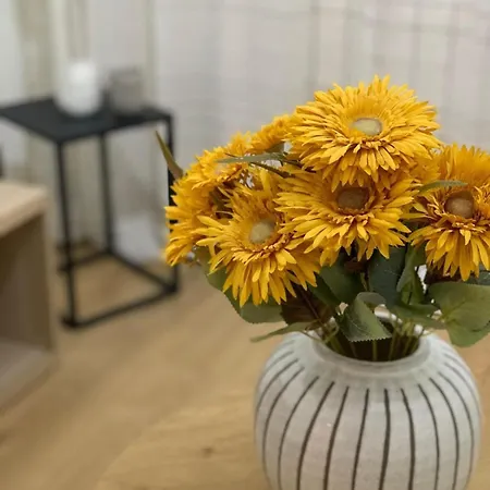 Apartamento Elorza
